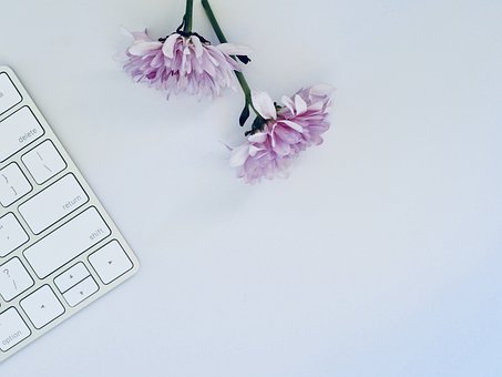 2019年在線企業的5個重要SEO技巧-瑩晨建站-www.bbtklxp.cn 2019年在線企業的5個重要SEO技巧-瑩晨建站-www.bbtklxp.cn